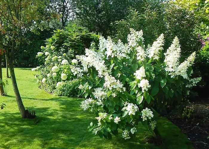 招待所 Cold Cotes