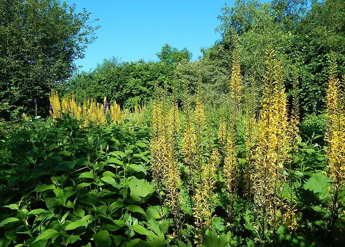 Cold Cotes Guest house Harrogate